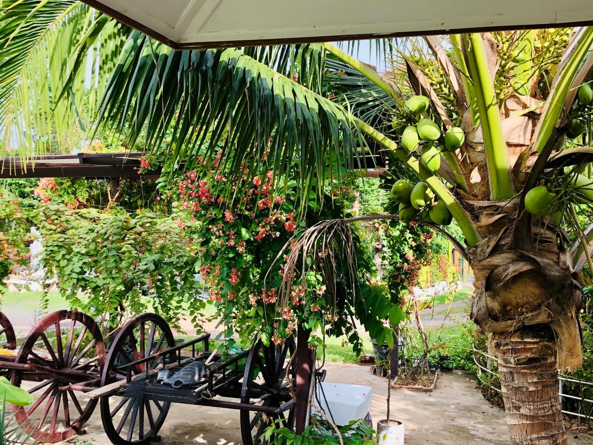 Baan Thung Home Stay Prasat 外观 照片