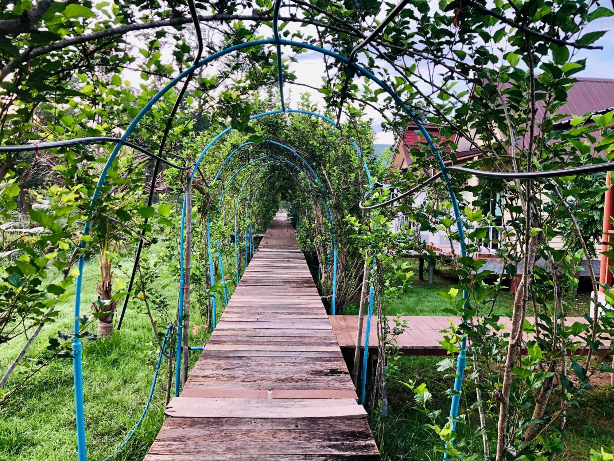 Baan Thung Home Stay Prasat 外观 照片