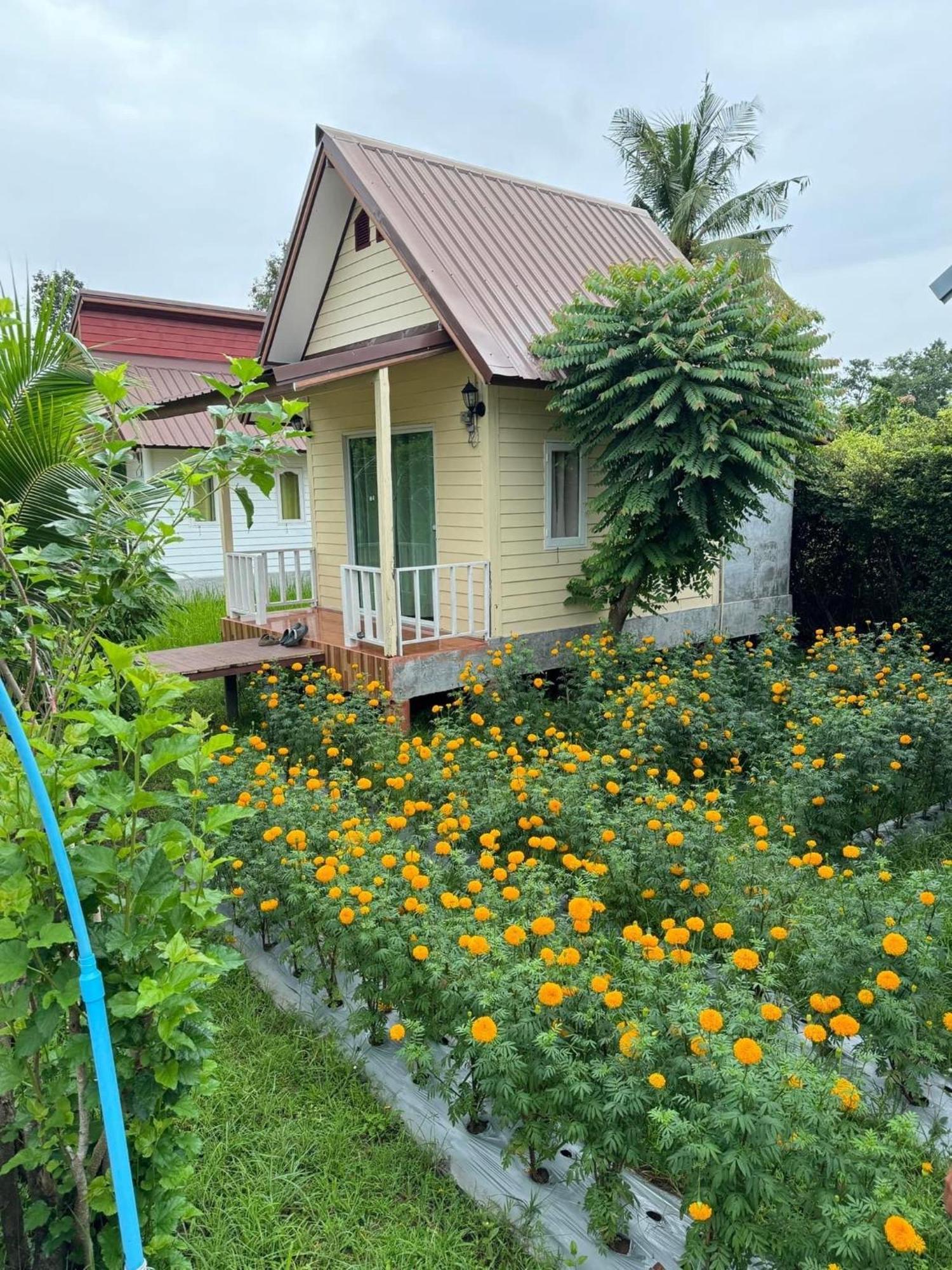 Baan Thung Home Stay Prasat 外观 照片
