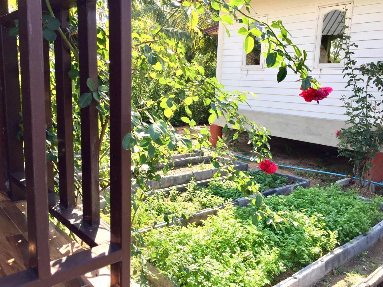 Baan Thung Home Stay Prasat 外观 照片
