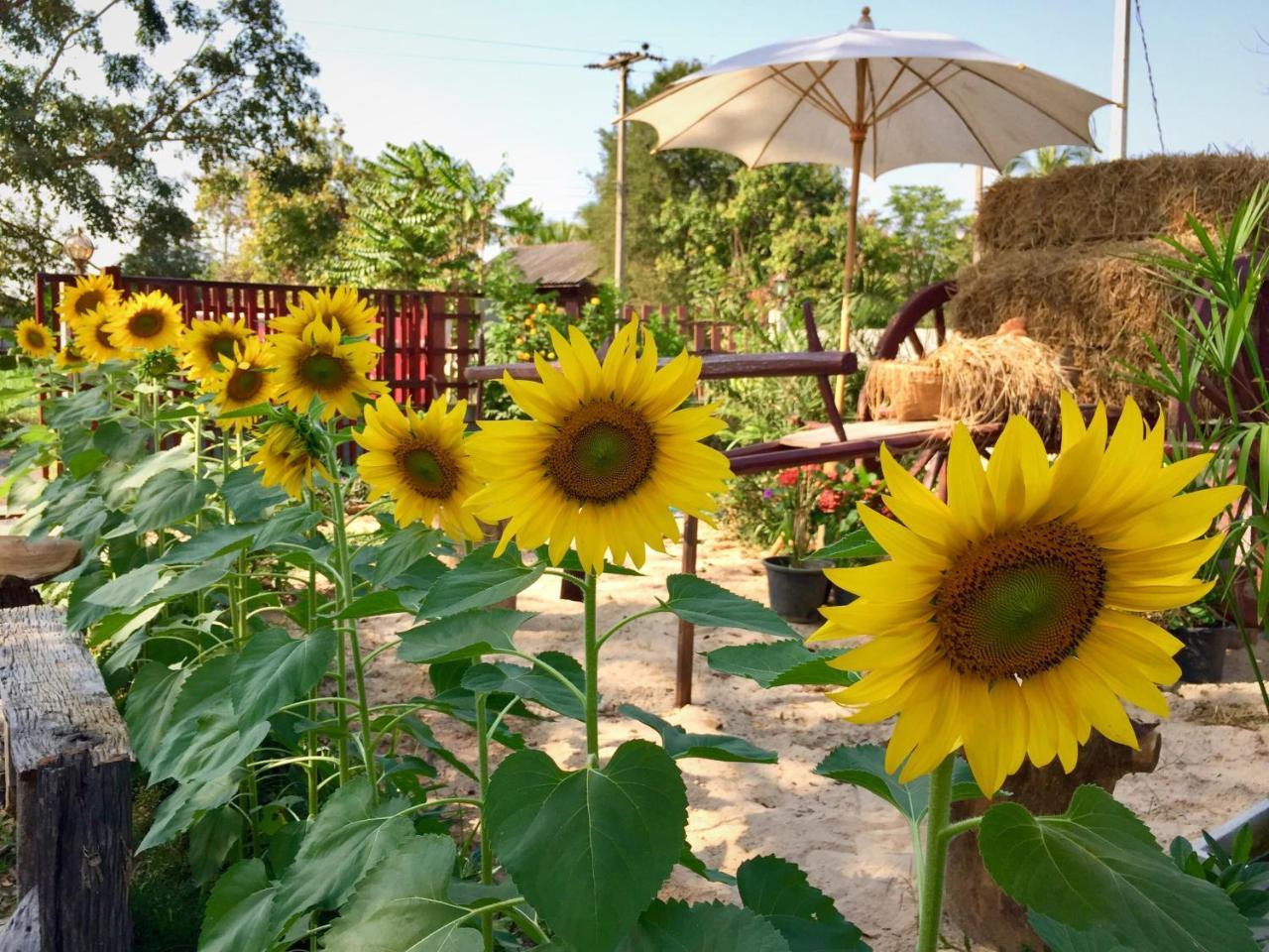 Baan Thung Home Stay Prasat 外观 照片