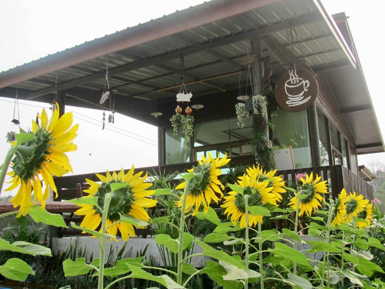 Baan Thung Home Stay Prasat 外观 照片