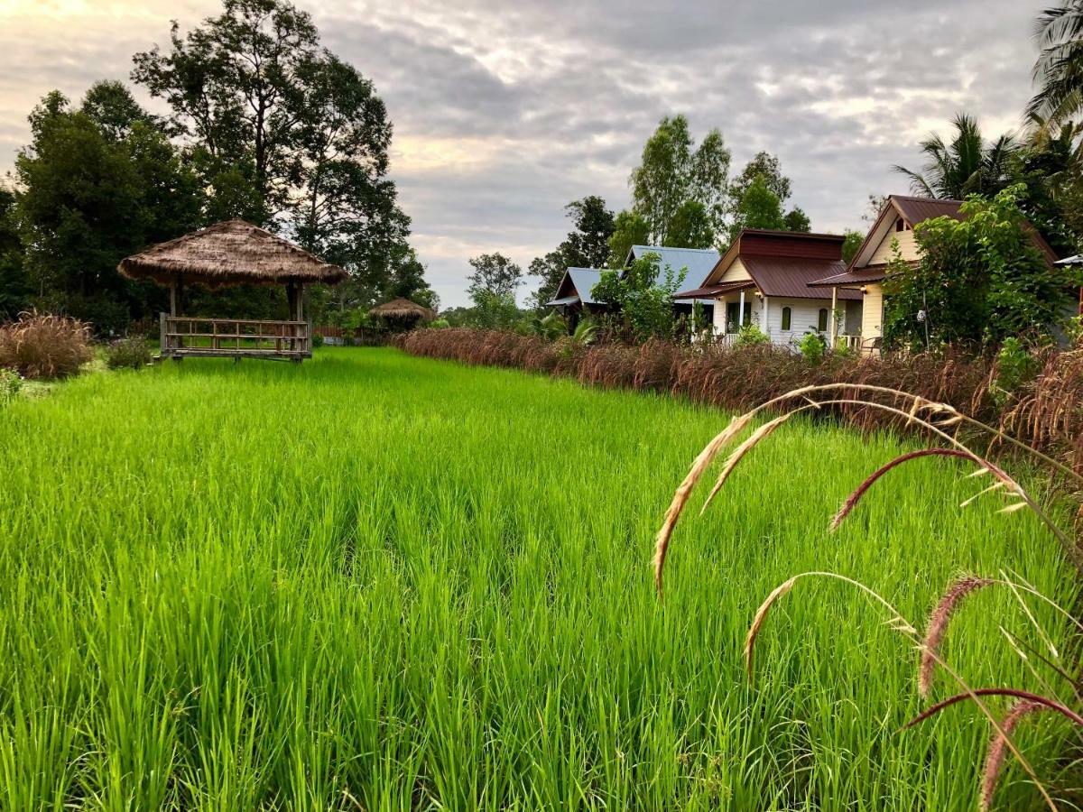 Baan Thung Home Stay Prasat 外观 照片