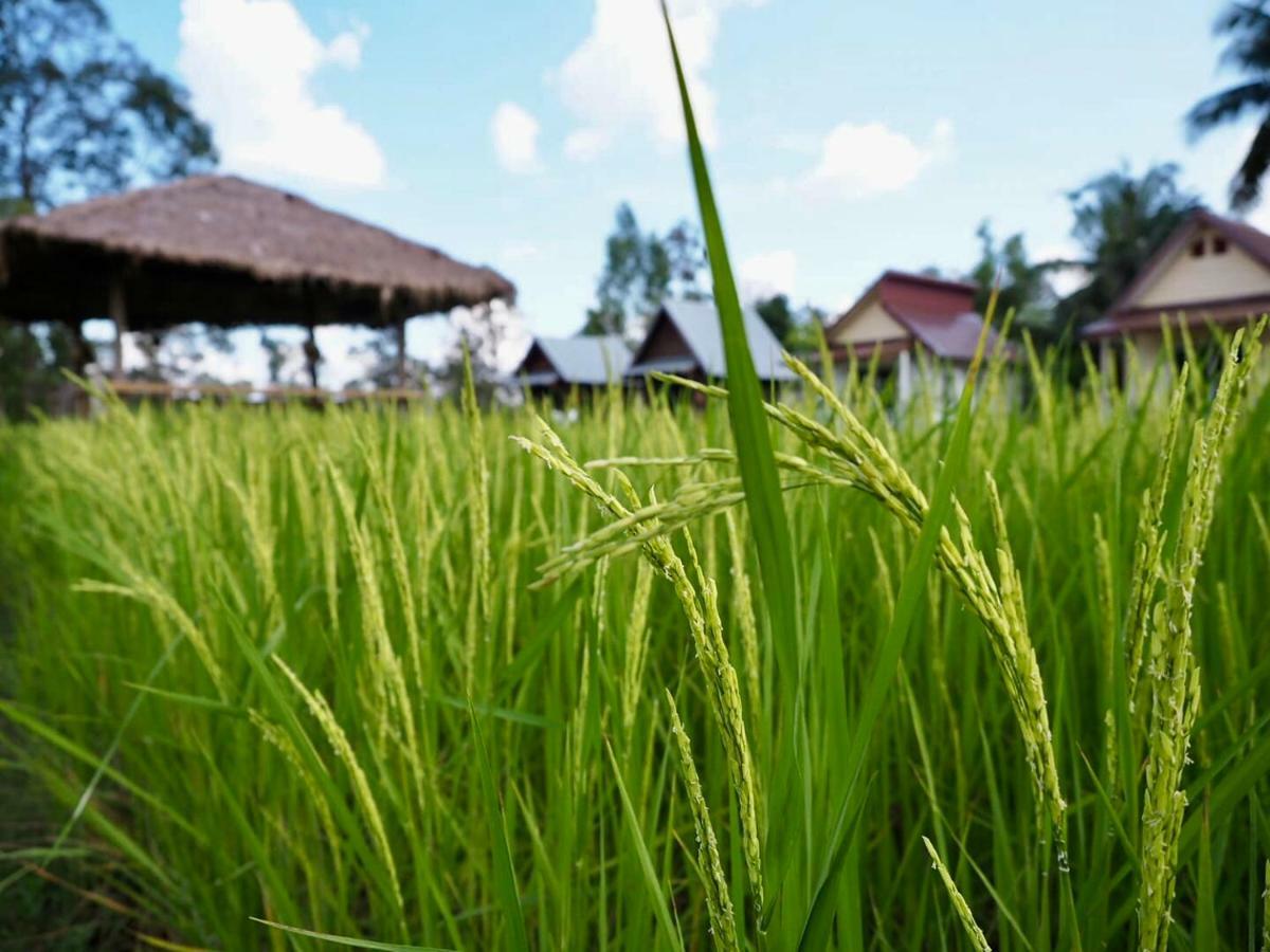 Baan Thung Home Stay Prasat 外观 照片