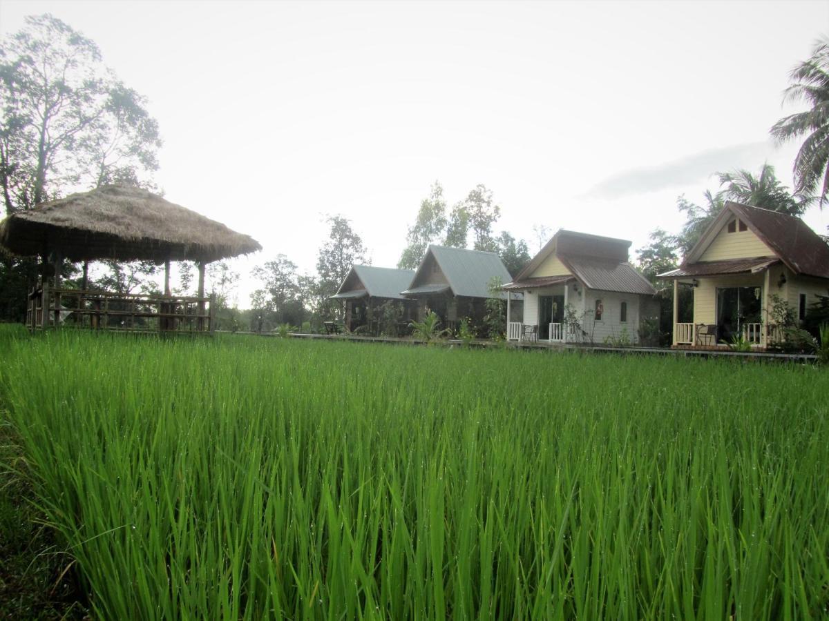 Baan Thung Home Stay Prasat 外观 照片