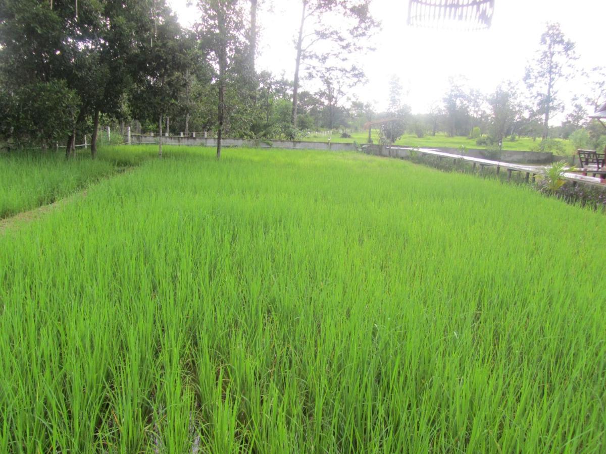 Baan Thung Home Stay Prasat 外观 照片